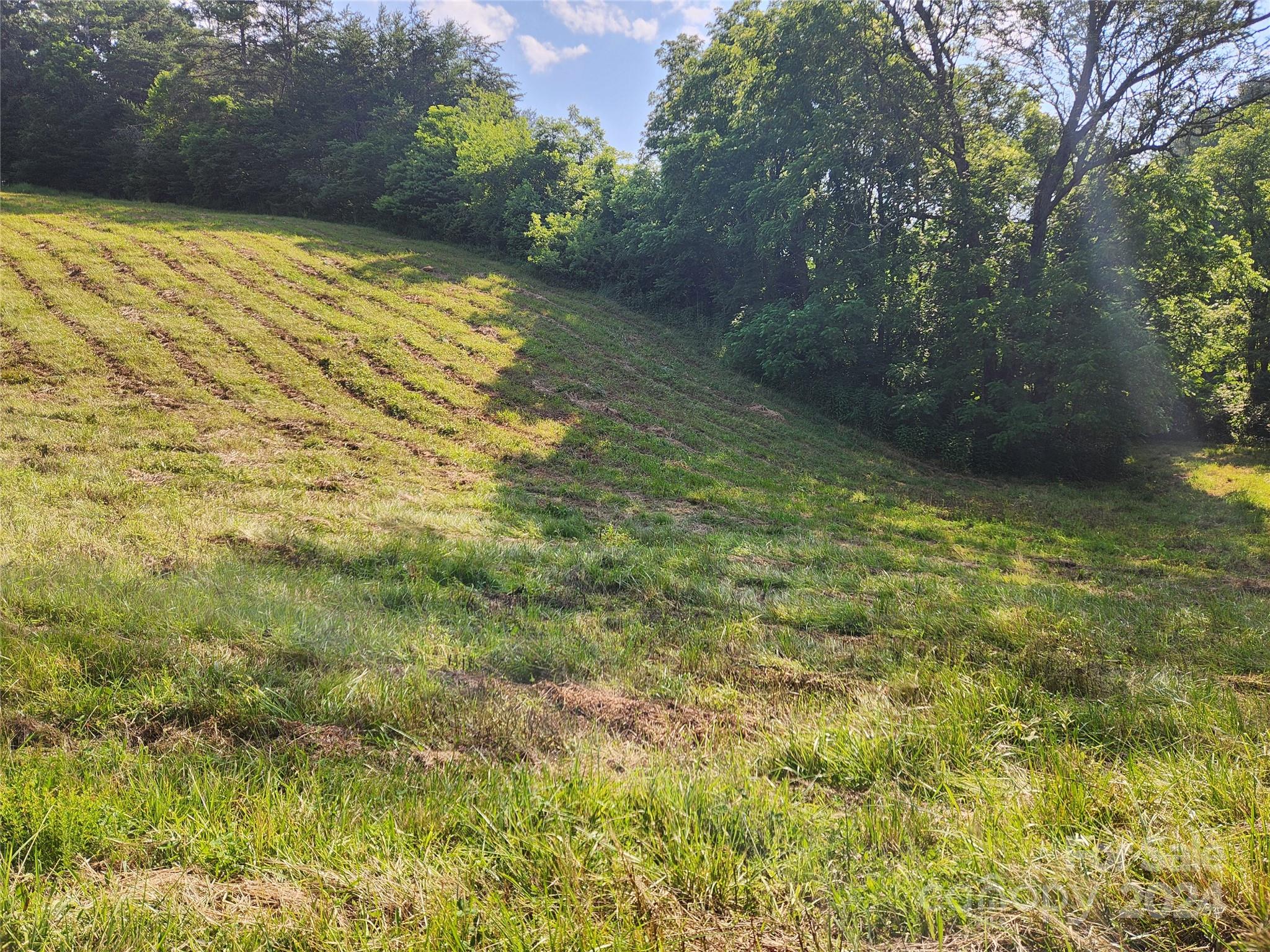 9999 Calvin Edney Road Mars Hill, NC 28754 - Photo 10 of 16 Gallery Image 10
