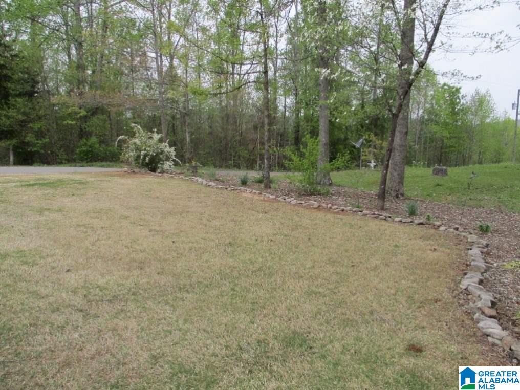 816 Ransome Drive Oneonta, AL 35121 - Photo 42 of 43