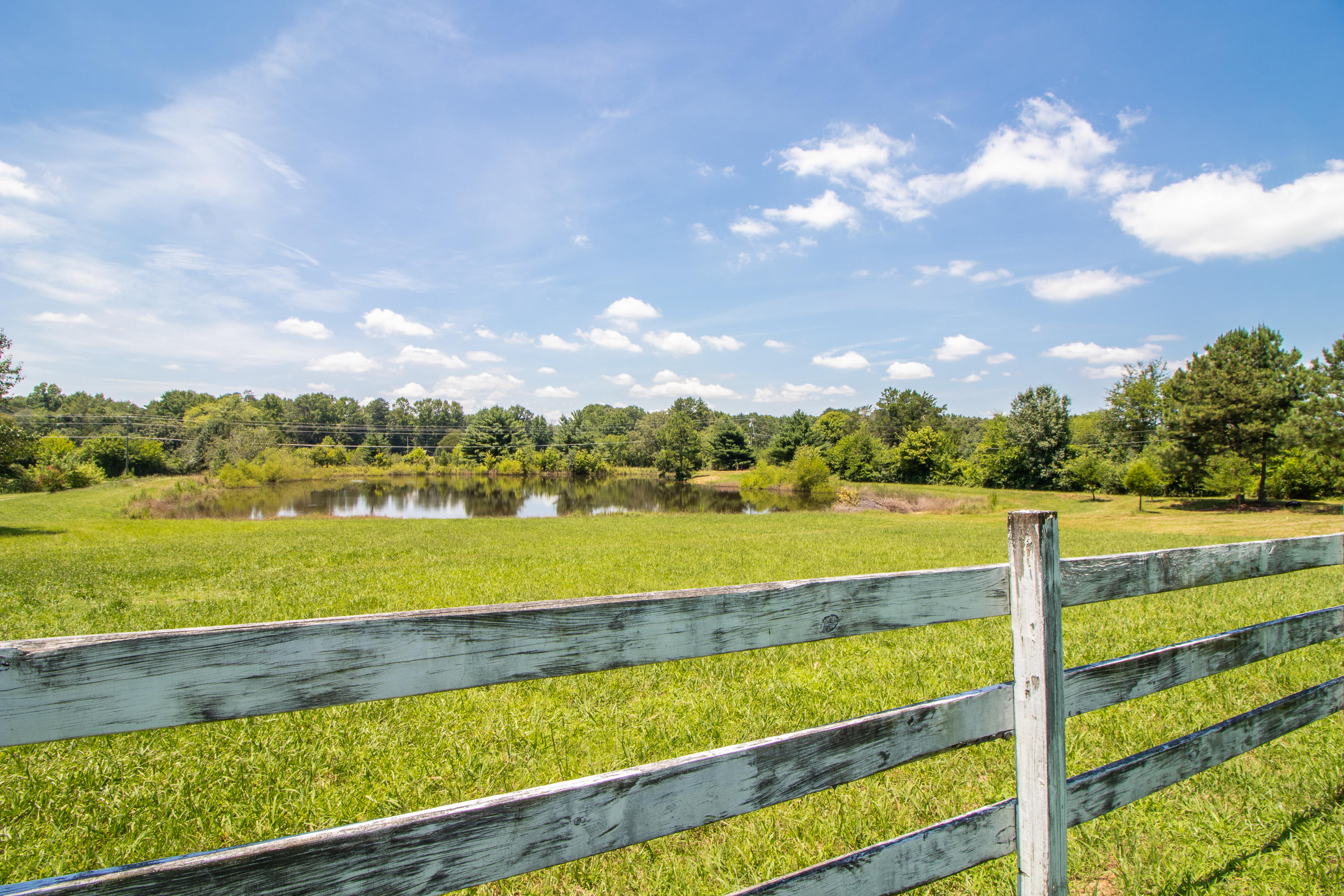 1605 Ringgold Road LaFayette, GA 30728 - Photo 60 of 63 Pond