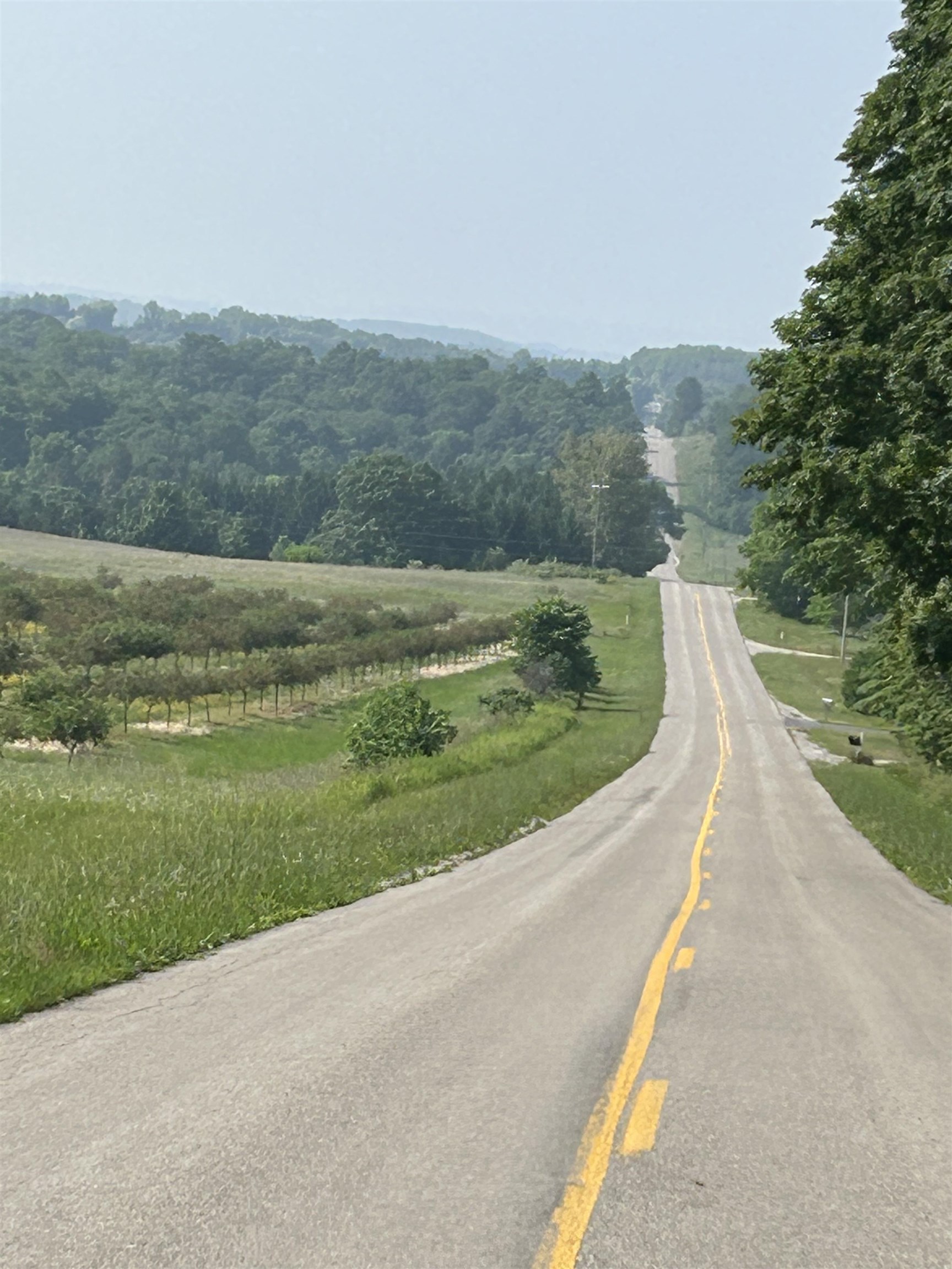 0 South Maple Valley Road Suttons Bay, MI 49682 - Photo 8 of 9