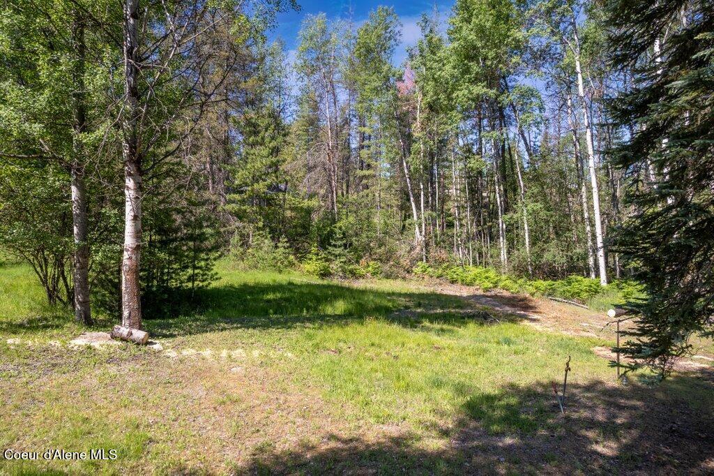 650 Lower Page Road Smelterville, ID 83868 - Photo 3 of 12 10428