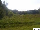 905 Old Buck Creek Road Longs, SC 29568 - Photo 1 of 1 Gallery Image 1