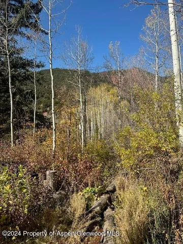 a view of a pathway both side of building