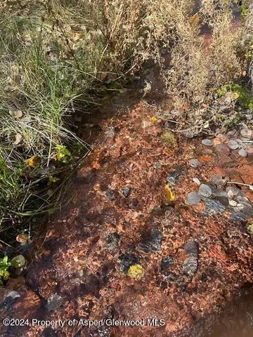 a view of a bird bath
