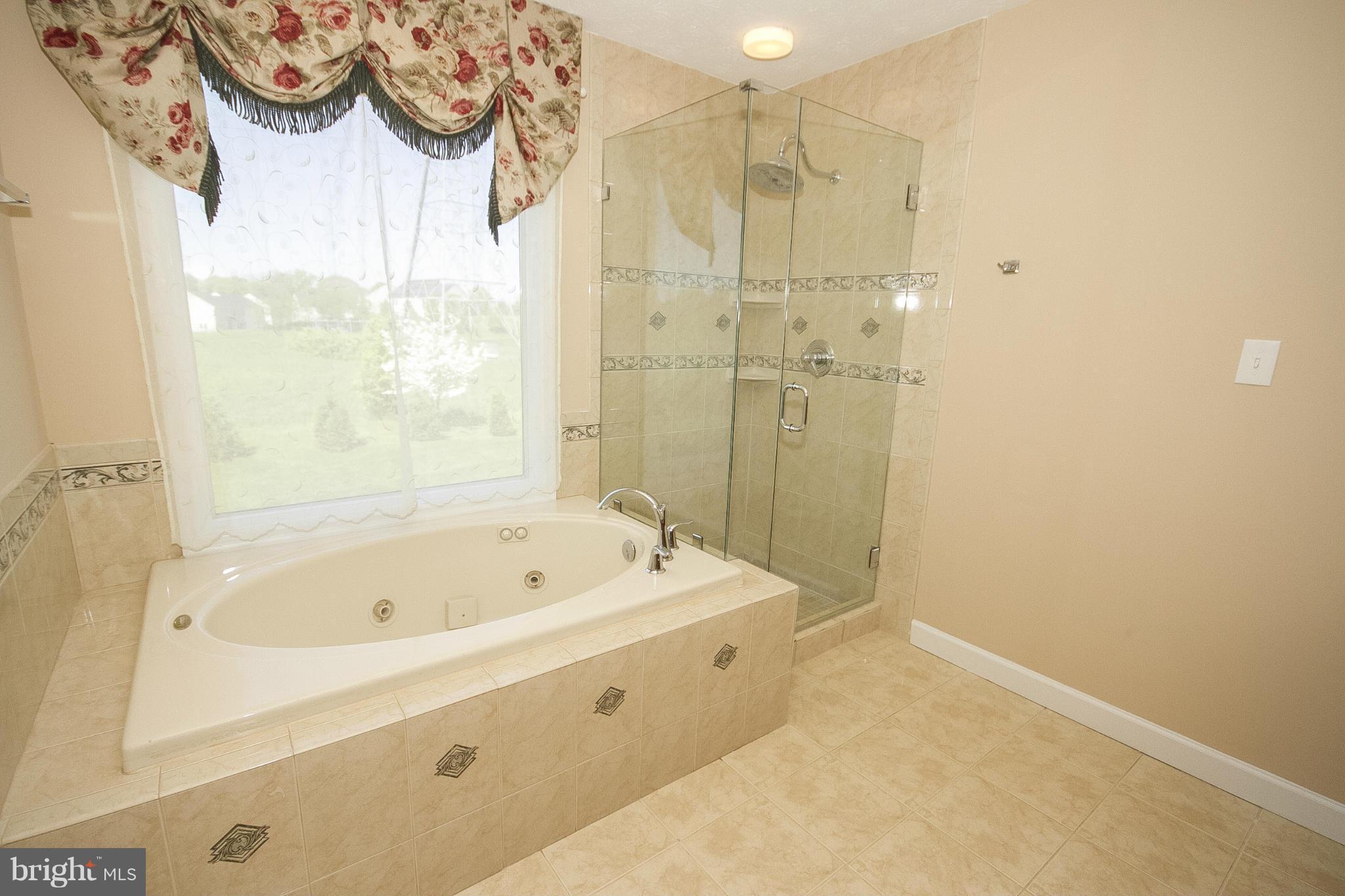 2680 Melba Road Ellicott City, MD 21042 - Photo 15 of 27 Jetted tub, new glass enclosure