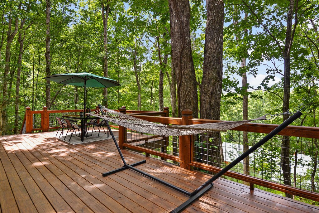 307 Pigeon Creek Road Blue Ridge, GA 30513 - Photo 56 of 56 Gallery Image 56