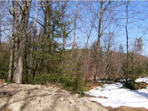 A Youngs Hill Road Freedom, NH 03836 - Photo 2 of 14