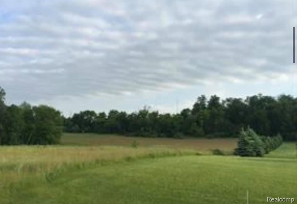 0 Kensington Road Pleasant Ridge, MI 48069 - Photo 3 of 6