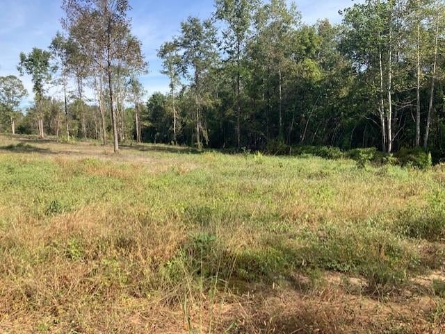 0 George Mims Road Andalusia, AL 36421 - Photo 2 of 5 Gallery Image 2
