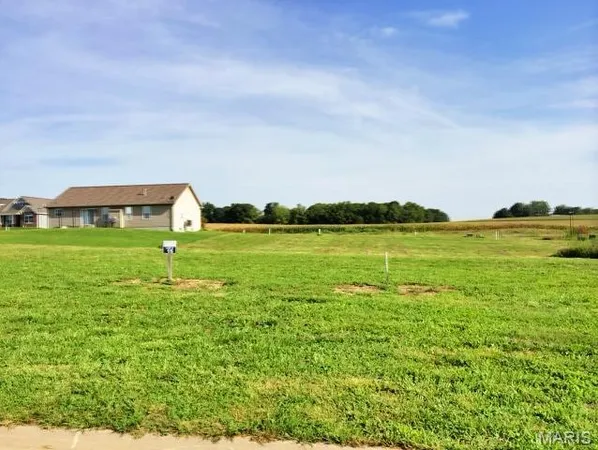 $37,500 | 517 Bluff Meadows Drive, Valmeyer, IL 62295