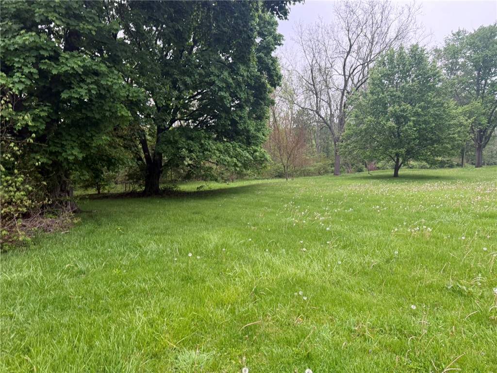 121 State Route, Unit 10570 New Paris, OH 45347 - Photo 5 of 8 This verdant expanse offers abundant space for leisure and outdoor activities.