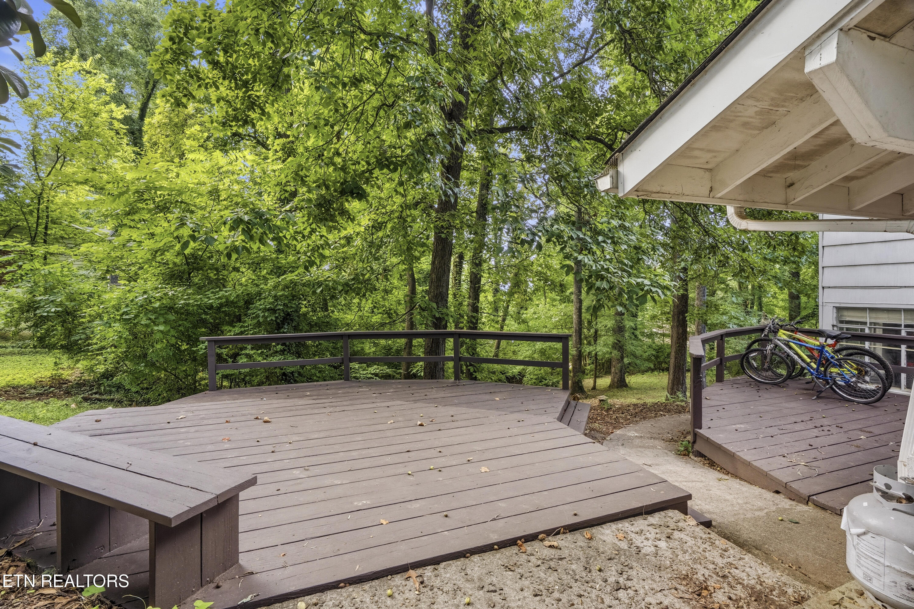 124 Orchard Circle Oak Ridge, TN 37830 - Photo 7 of 24 DSC09535