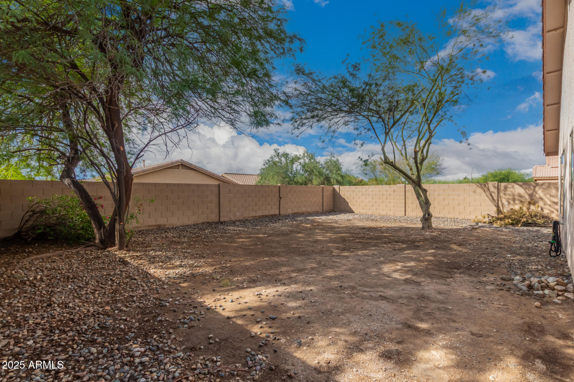 17573 West Dalea Drive Goodyear, AZ 85338 - Photo 28 of 29 a view of a yard with a tree
