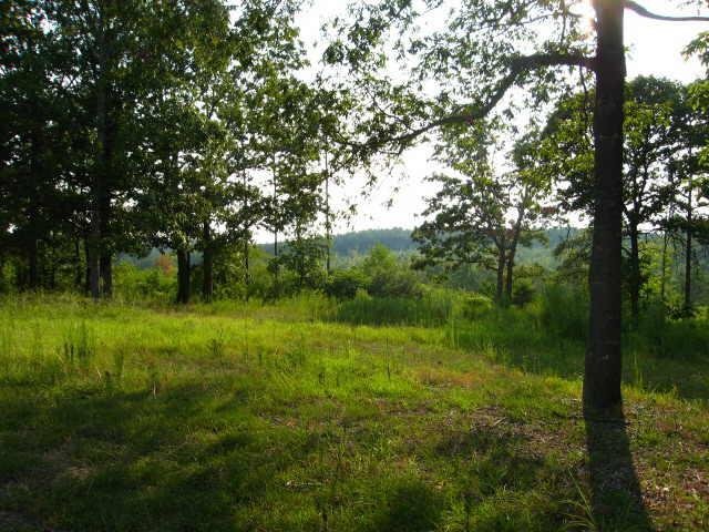 466 Branch Road Cedartown, GA 30125 - Photo 1 of 1 Gallery Image 1