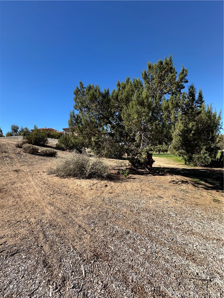 18132 Bangor Avenue Hesperia, CA 92345 - Photo 11 of 15 a view of a yard
