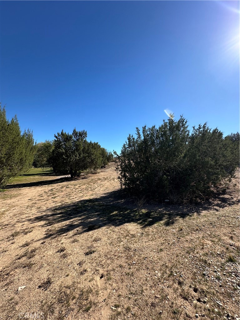 18132 Bangor Avenue Hesperia, CA 92345 - Photo 9 of 15 a view of outdoor space and yard