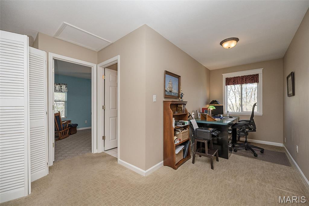 1529 Paradise Valley Drive High Ridge, MO 63049 - Photo 25 of 69