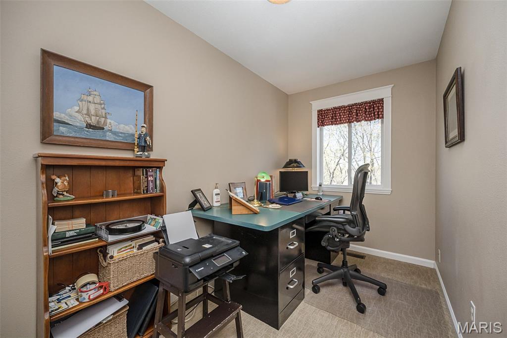 1529 Paradise Valley Drive High Ridge, MO 63049 - Photo 26 of 69