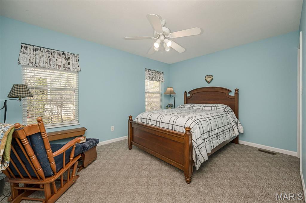 1529 Paradise Valley Drive High Ridge, MO 63049 - Photo 27 of 69