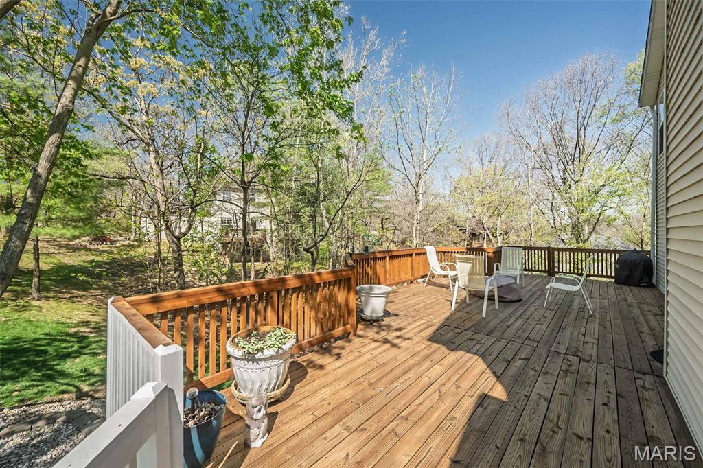 1529 Paradise Valley Drive High Ridge, MO 63049 - Photo 56 of 69