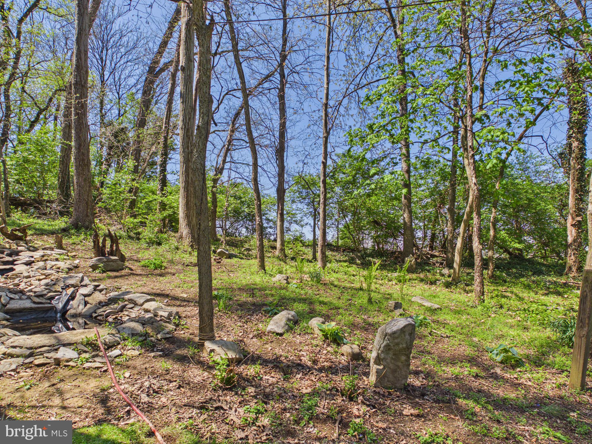 372 Burnt House Road Carlisle, PA 17015 - Photo 15 of 55