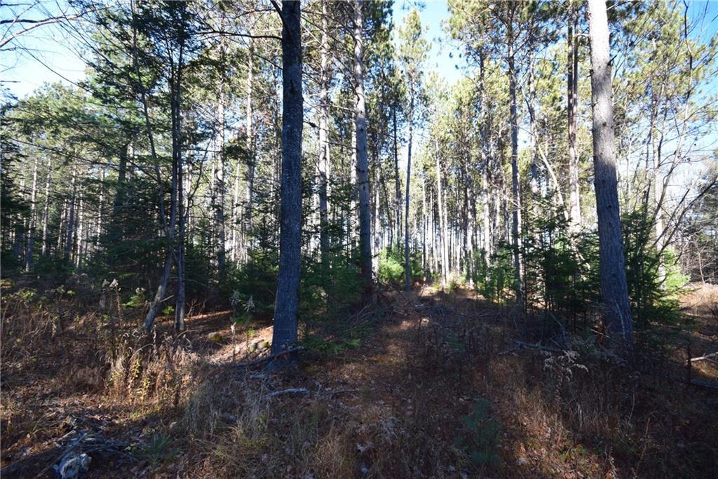 0 Rt 143 Dixmont, ME 04932 - Photo 8 of 18 Maine Land for Sale