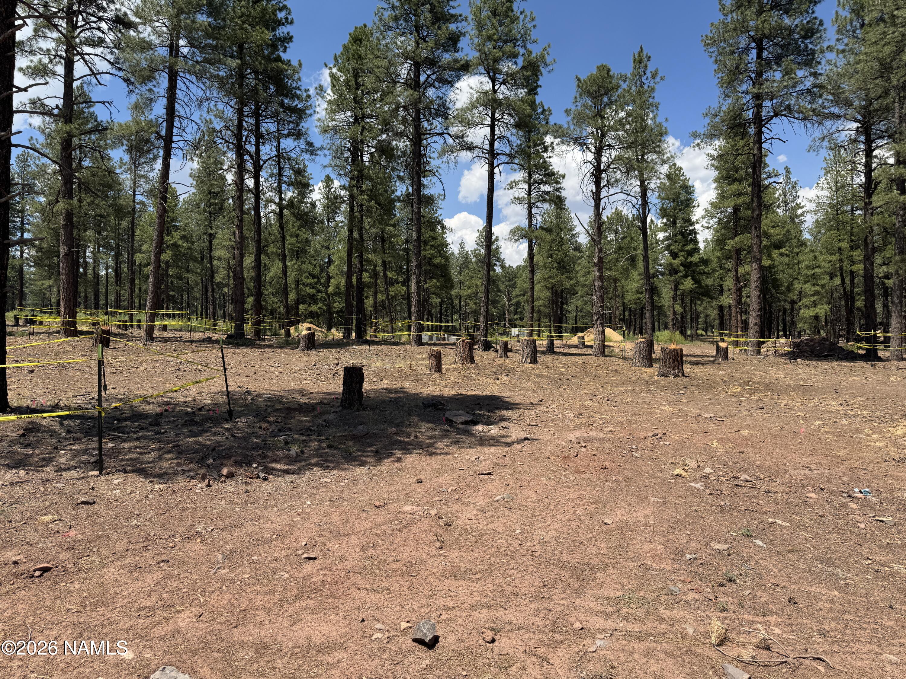 1925 Flower Spring Trail Flagstaff, AZ 86005 - Photo 2 of 4 Lot 62 Tovar