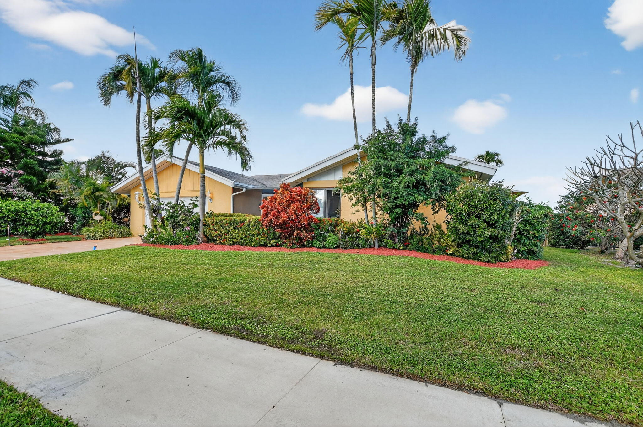 4205 Birchwood Drive Boca Raton, FL 33487 - Photo 9 of 75 a palm tree sitting in front of a house with a big yard