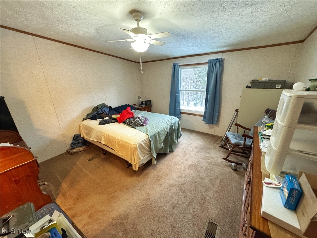 72117 Barton Road Bridgeport, OH 43912 - Photo 9 of 42 Carpeted bedroom with a textured ceiling, ceiling fan, and crown molding