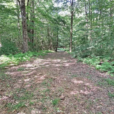 $64,900 | 0 Dolly Road, Unit 5, Camden, NY 13316