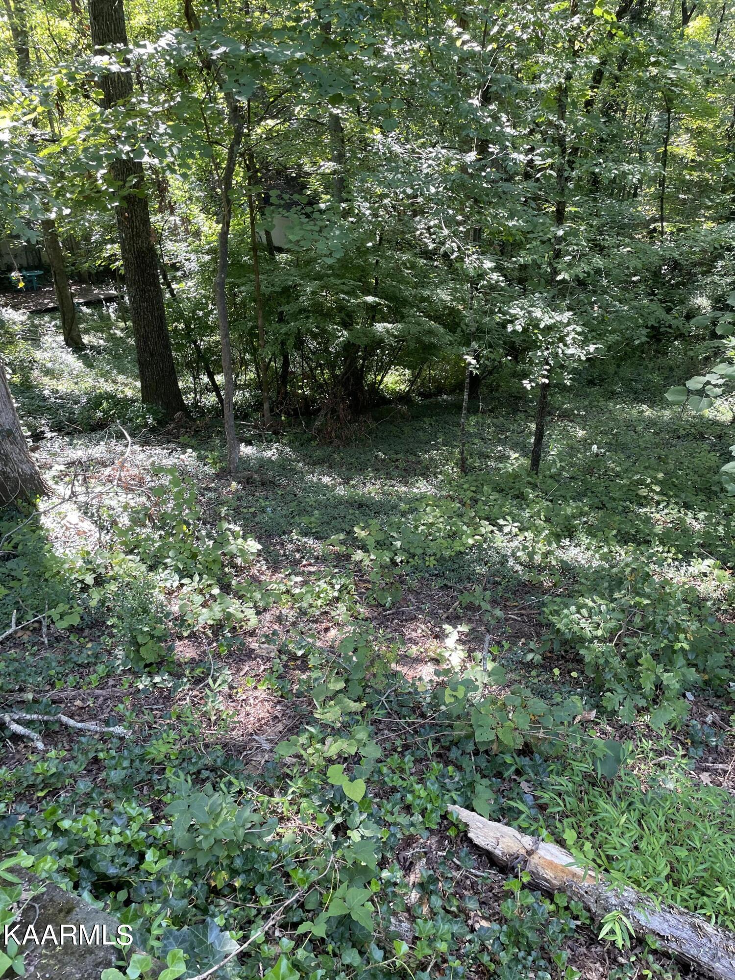 169 California Avenue Oak Ridge, TN 37830 - Photo 43 of 43 4455C11A-16A3-4DFC-AC7B-242543F5BC0D