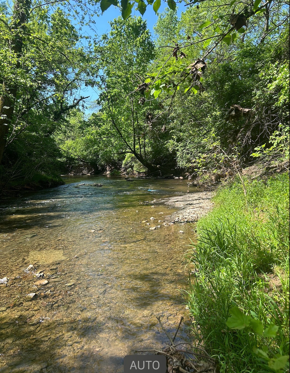 4012 Fox Run North Spring Hill, TN 37174 - Photo 30 of 30