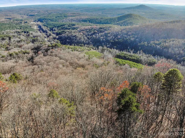 a view of a yard with plants and a bench