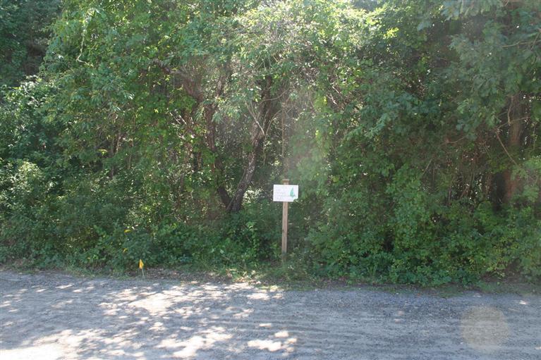 34 Brant Road Dennis, MA 02638 - Photo 3 of 5 a view of a street