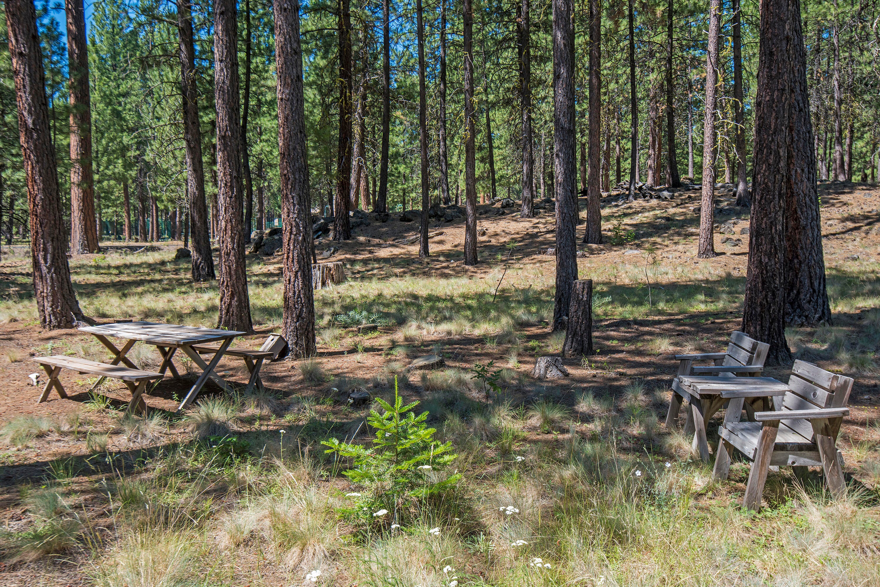 70523 Salal Black Butte Ranch, OR 97759 - Photo 29 of 37 .44 Acres