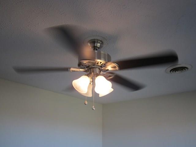 979 State Line Road Oak Grove, KY 42262 - Photo 3 of 13 Gallery Image 3
