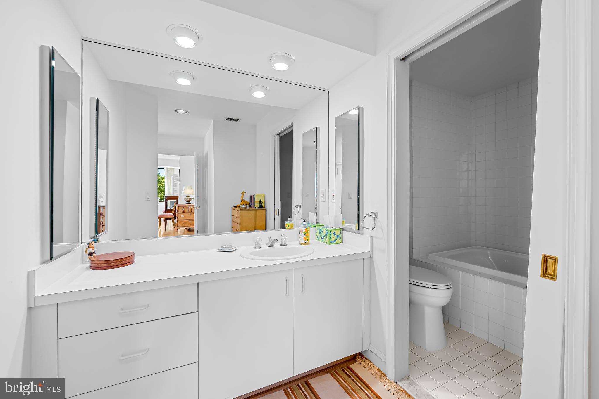 3704 North Charles Street, Unit 406 Baltimore, MD 21218 - Photo 24 of 65 a view of bathroom with a sink mirror toilet and next to a window