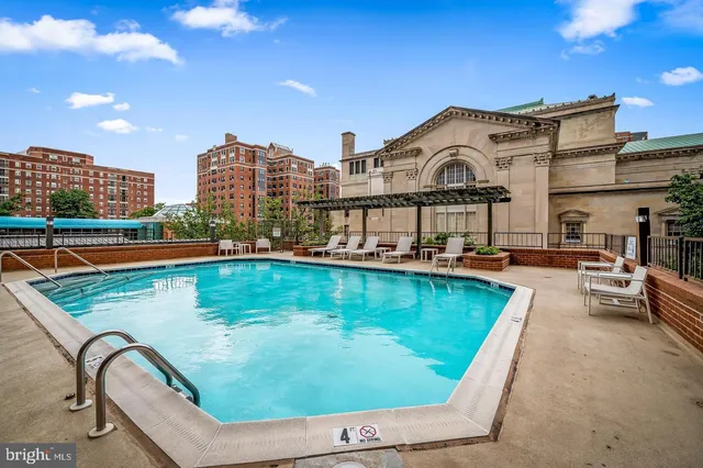 a view of a bunch of flowers