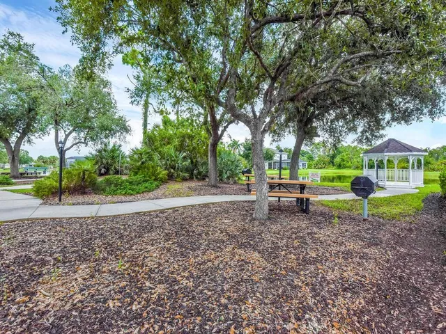 a view of a park with large trees