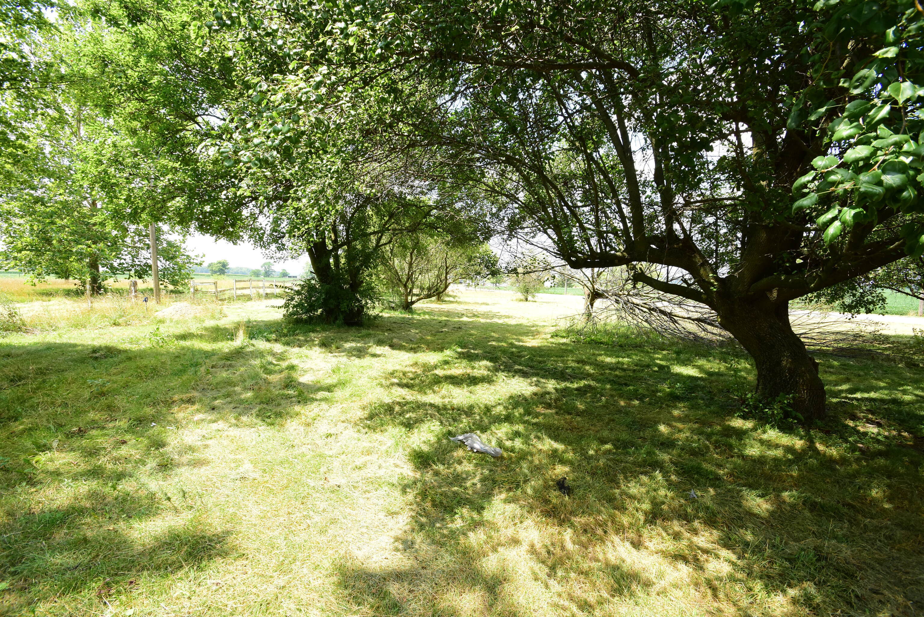 3935 East Brown Road New Castle, IN 47362 - Photo 5 of 23