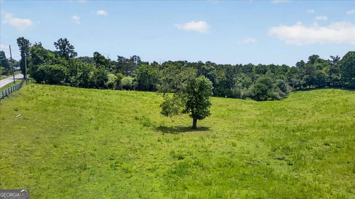0 Conns Creek Road, Unit 2 Ball Ground, GA 30107 - Photo 9 of 57