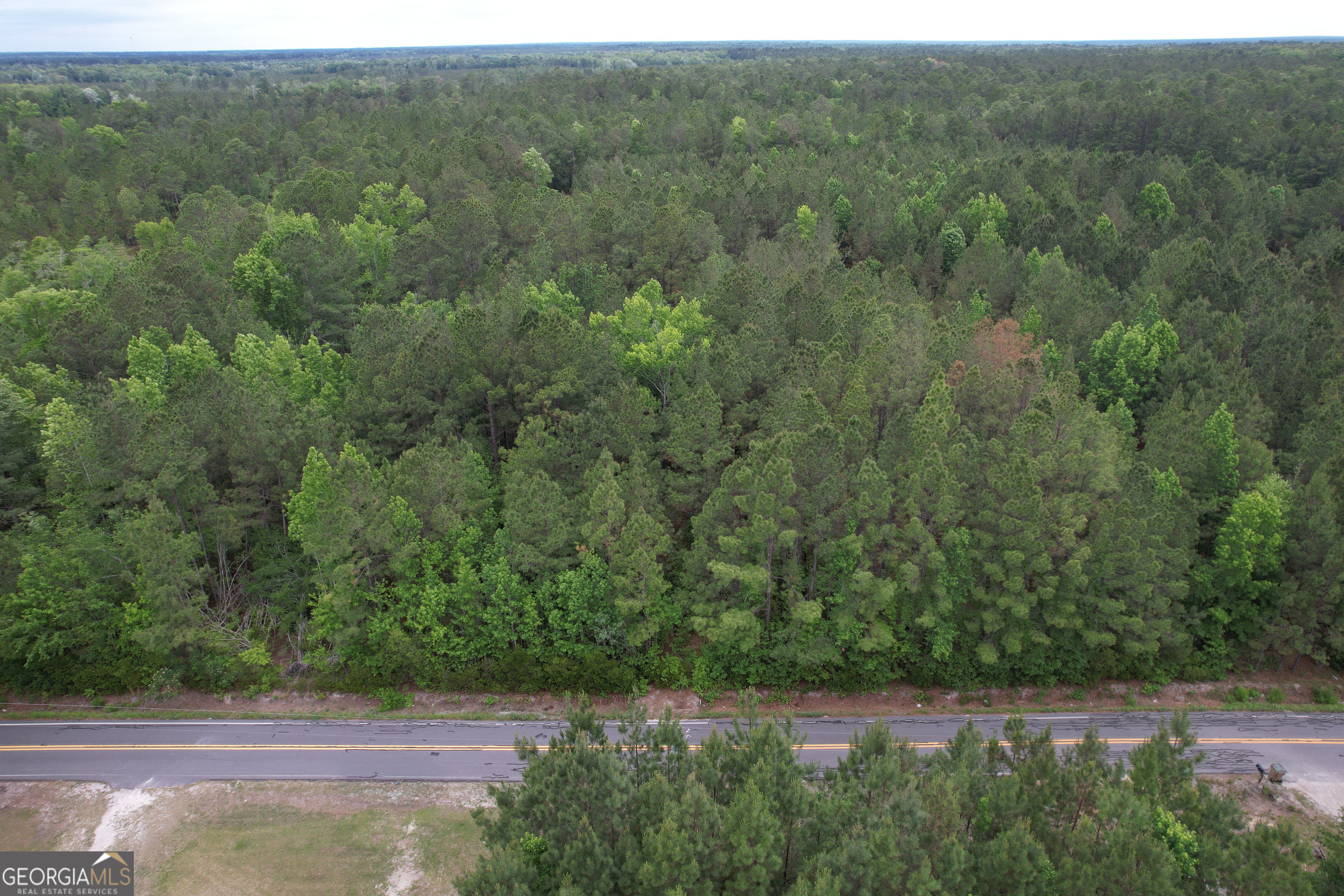 1.5-acres Mt Pleasant Road Clyo, GA 31303 - Photo 19 of 19