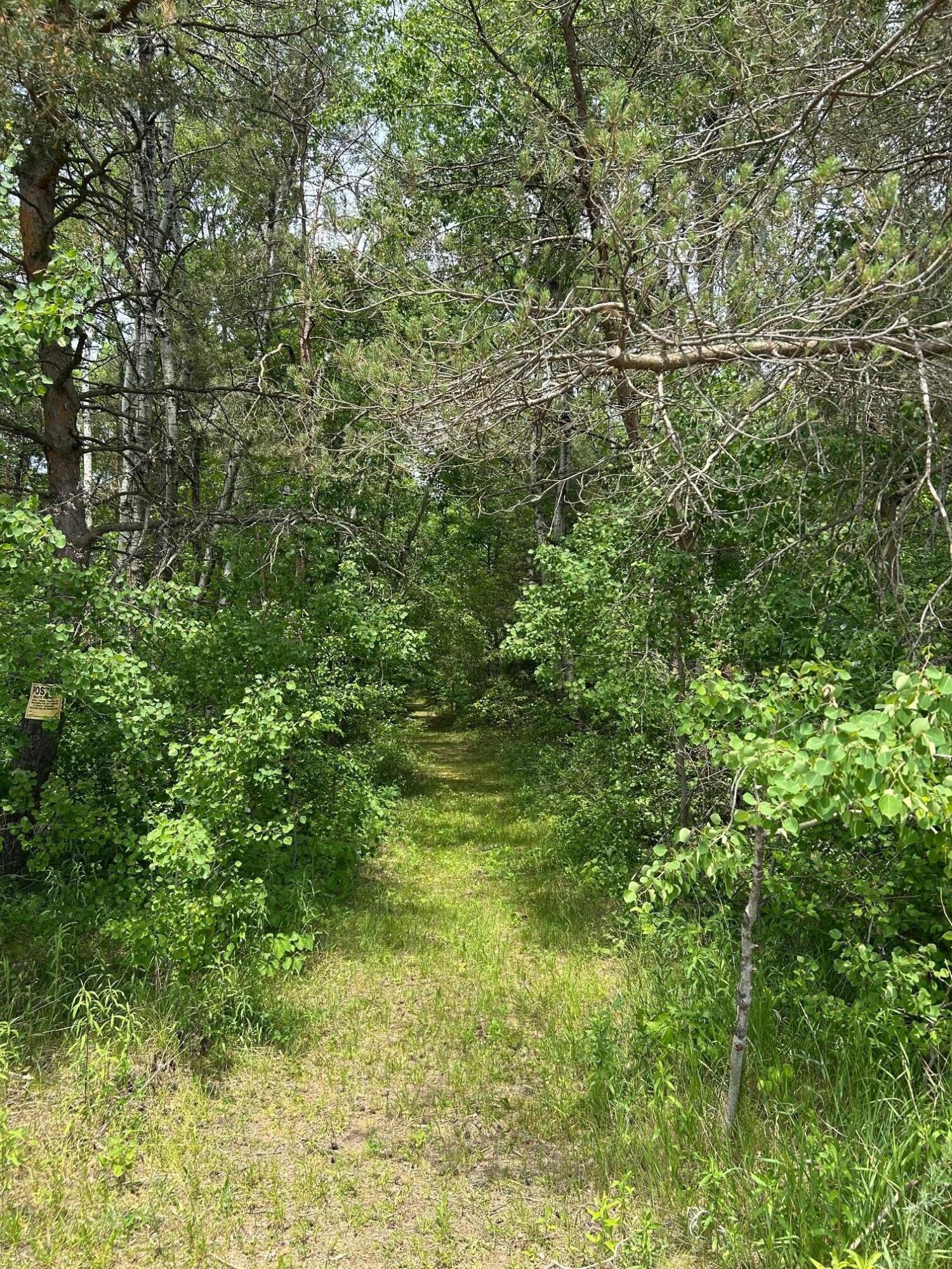 19798 Yankee Road Howard City, MI 49329 - Photo 1 of 6 IMG_1507