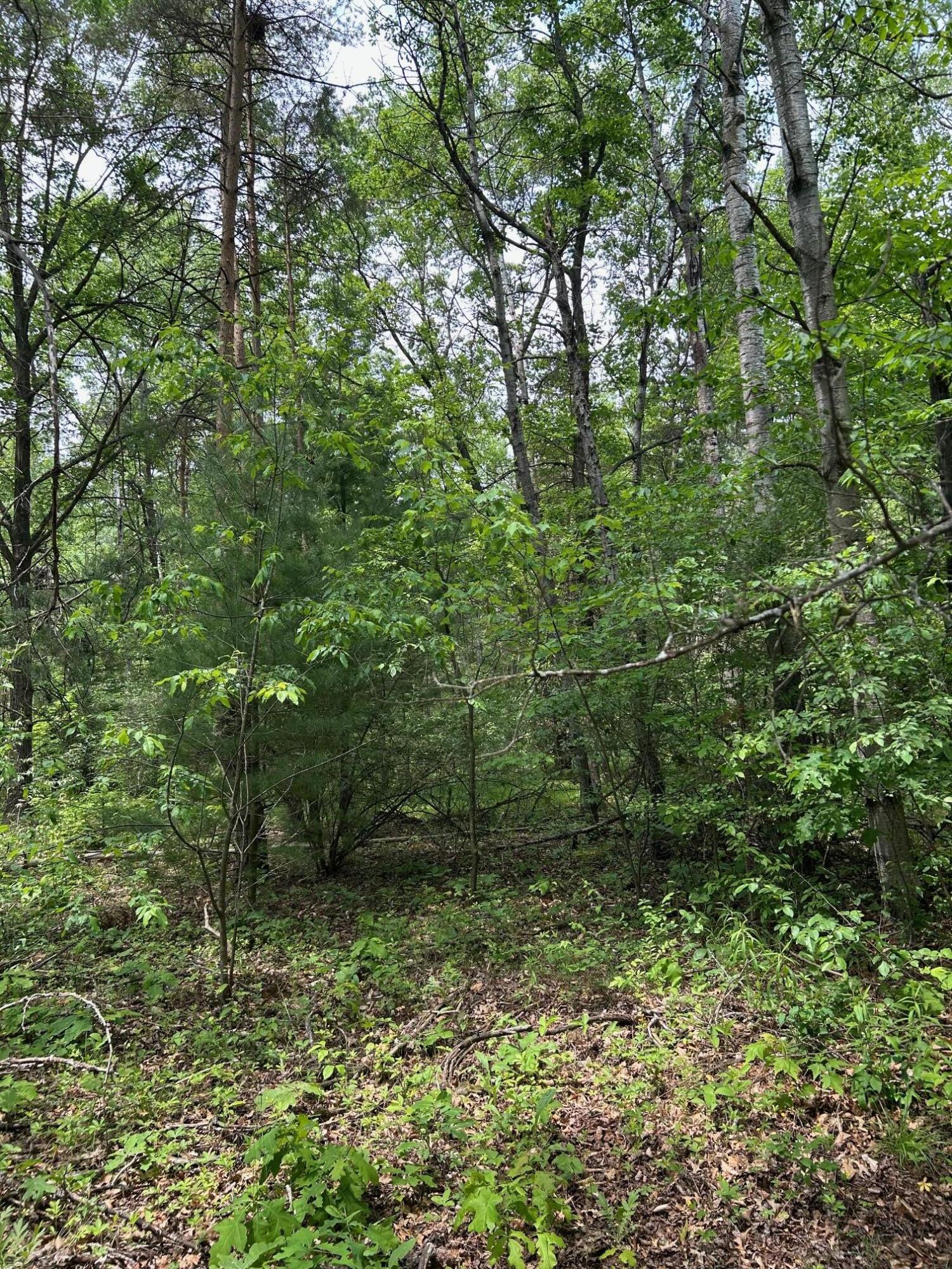 19798 Yankee Road Howard City, MI 49329 - Photo 5 of 6 IMG_1511
