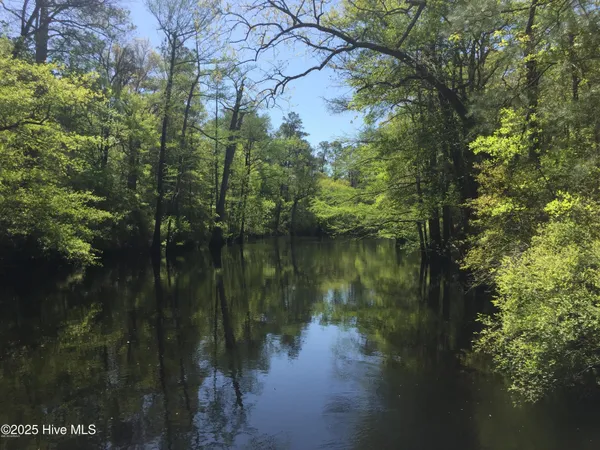 $70,000 | 0 Hwy 53 Burgaw Nc 28425, Burgaw, NC 28425