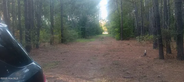 $70,000 | 0 Hwy 53 Burgaw Nc 28425, Burgaw, NC 28425