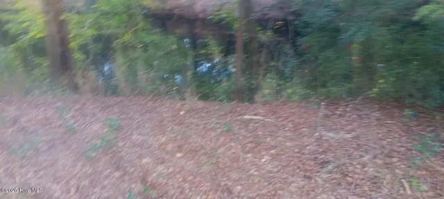 $70,000 | 0 Hwy 53 Burgaw Nc 28425, Burgaw, NC 28425