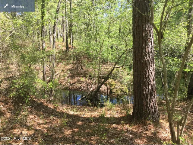 $70,000 | 0 Hwy 53 Burgaw Nc 28425, Burgaw, NC 28425