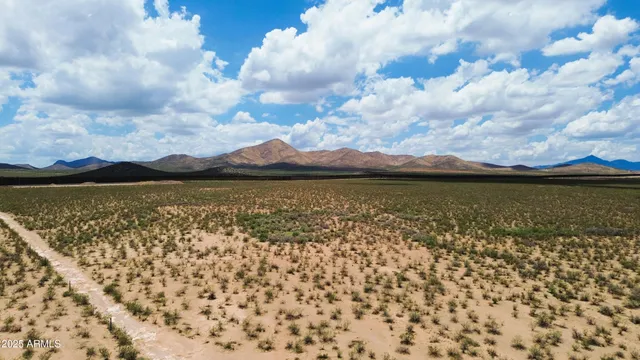 a view of a lake with a city
