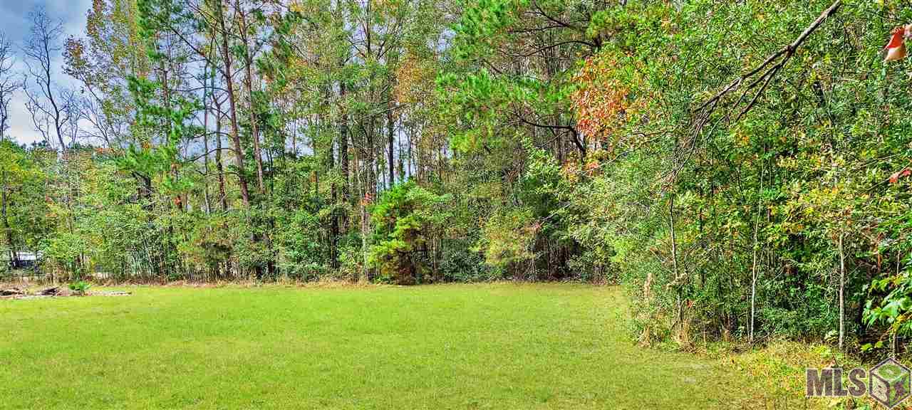 36793 B Cryer Road Denham Springs, LA 70706 - Photo 3 of 7